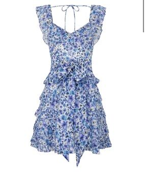 Talulah Petula Mini Dress - blue